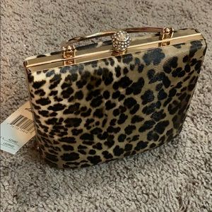 Cheetah clutch